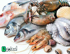 اسعار الاسماك فى مصر اليوم