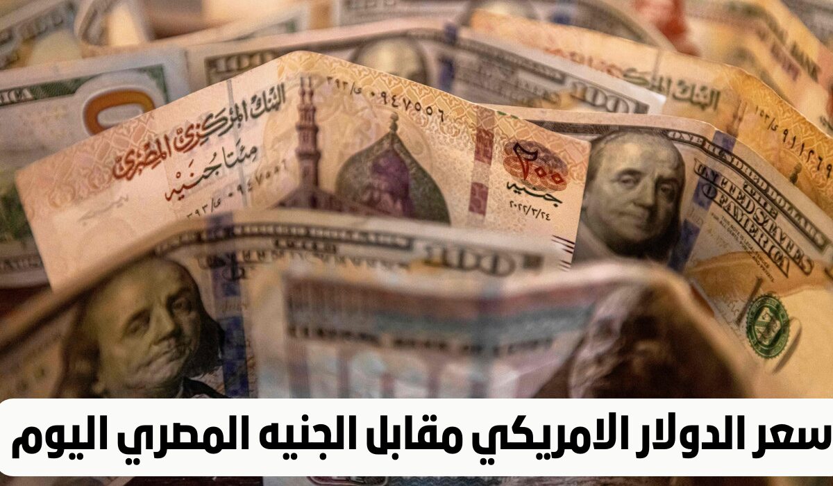 الأخضر في أفضل حالاته.. سعر الدولار اليوم في البنوك الأحد 24 مارس الأخضر في أفضل حالاته.. سعر الدولار اليوم في البنوك الأحد 24 مارس