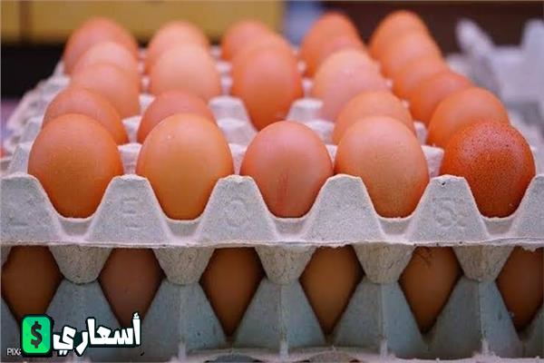 سعر كرتونة البيض اليوم 2024 اخر تحديث سعر كرتونة البيض اليوم