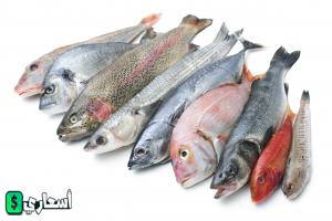 سعر السمك فى سوق العبور اليوم