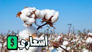 سعر قنطار القطن اليوم 2022