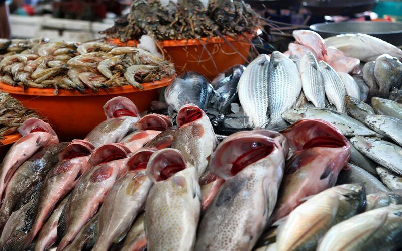 أسعار أسماك البلطي والبياض الطازجة اليوم السبت 16/03/2024 في الأسواق الاستهلاكية ‘‘ البلطي والبياض طازه ‘‘ أسعار السمك اليوم السبت 16-3-2024 بالأسواق للمستهلك