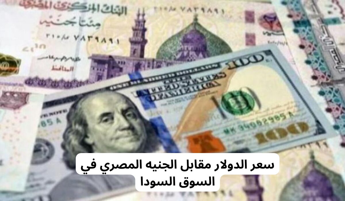 الأخضر في أفضل حالاته.. سعر الدولار اليوم في البنوك الأحد 24 مارس سعر الدولار في السوق السوداء