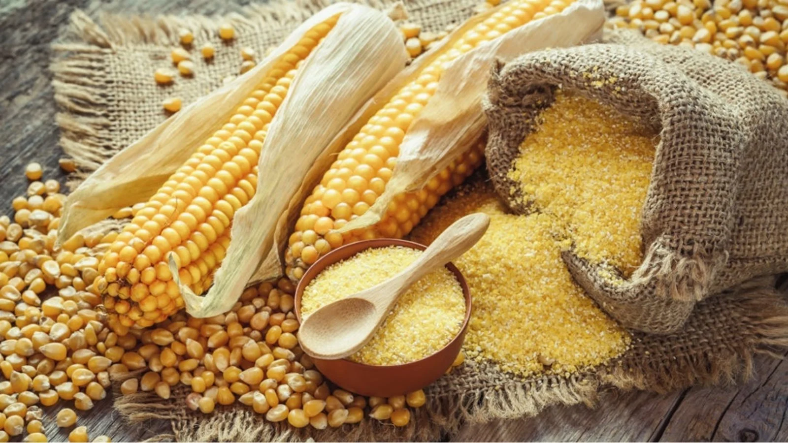 العلف الحيواني هو عامل مهم. أسعار أغذية الحيوانات الأليفة اليوم الاثنين 2025/04/01 العلف الحيواني هو عامل مهم. أسعار أغذية الحيوانات الأليفة اليوم الاثنين 2024/04/01