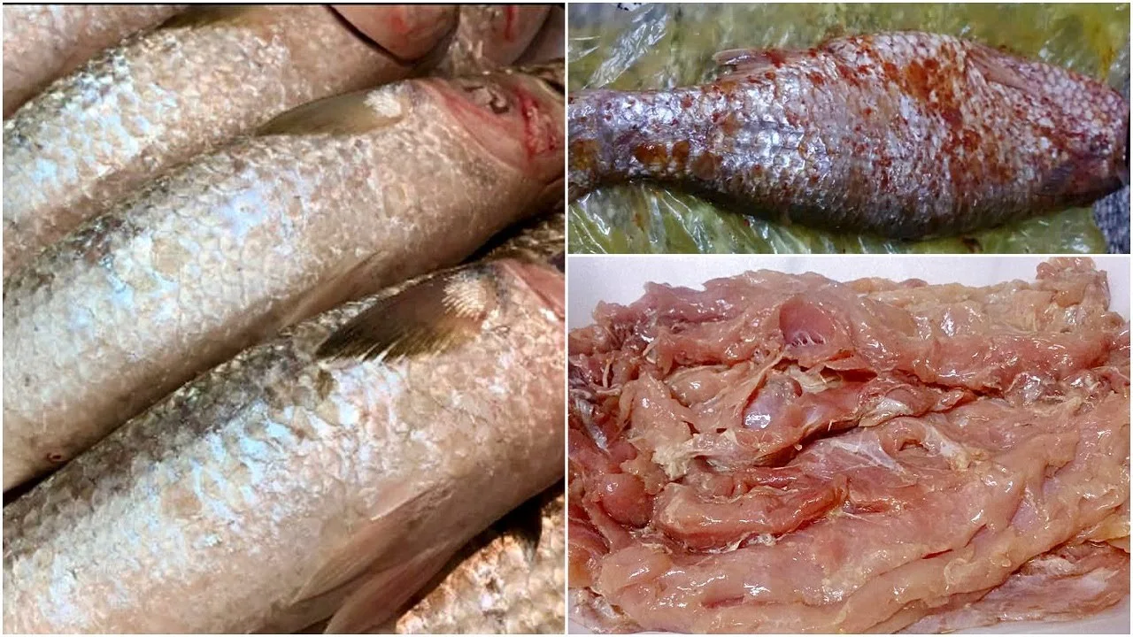الفسيخ والبصل والعالم بخير.. سعر كيلو الفسيخ اليوم في مصر “السعر معقول” الفسيخ والبصل والعالم بخير.. سعر كيلو الفسيخ اليوم في مصر “السعر معقول”