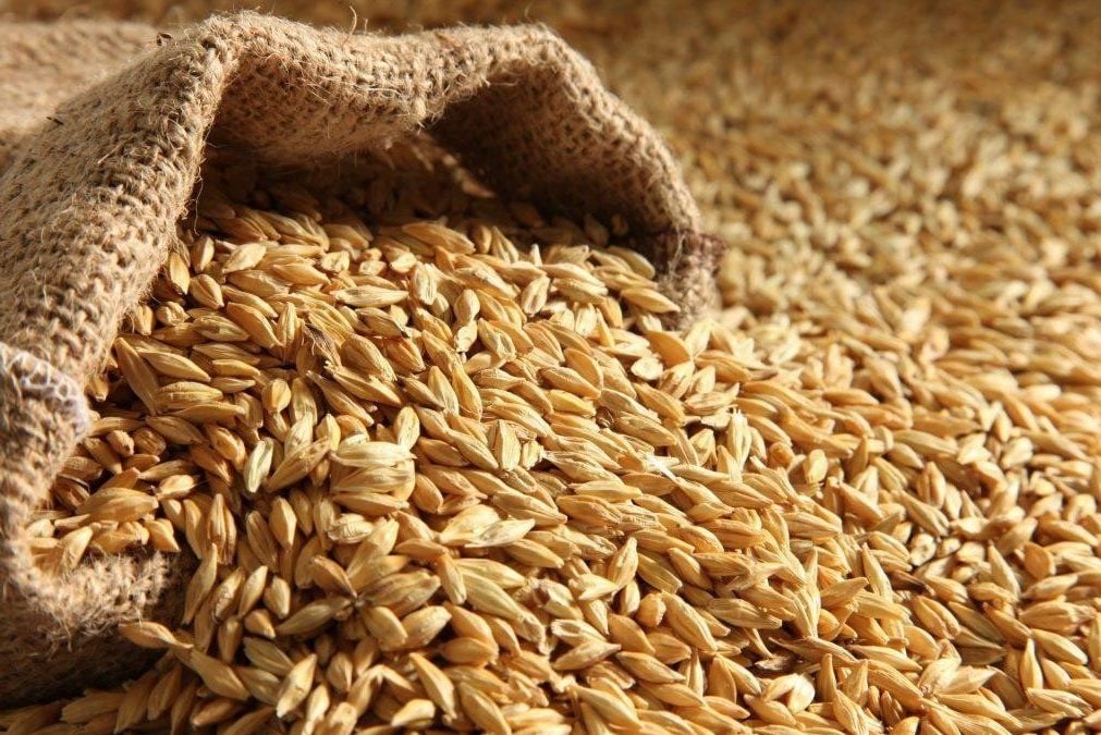 الفقراء لهم هياكل في رمضان.. سعر طن أرز الشعير اليوم 2025 والمنتجات الأساسية الفقراء لهم هياكل في رمضان.. سعر طن أرز الشعير اليوم الثلاثاء 19 مارس 2024 والمنتجات الأساسية