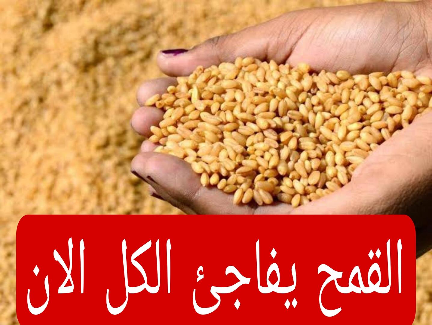“القمح يفاجئ الجميع الآن”.. مفاجأة غير متوقعة على سعر القمح اليوم 2025.. يا ترى بكم يا قمح!! "القمح يفاجئ الجميع الآن".. مفاجأة غير متوقعة على سعر القمح اليوم الثلاثاء 2 إبريل 2024.. يا ترى بكم يا قمح!!