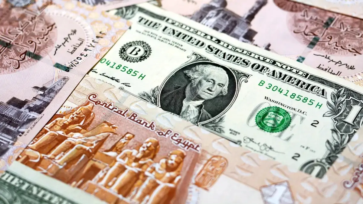 انخفاض ملحوظ.. سعر الدولار اليوم 2025 انخفاض ملحوظ.. سعر الدولار اليوم الجمعة 22 مارس 2024