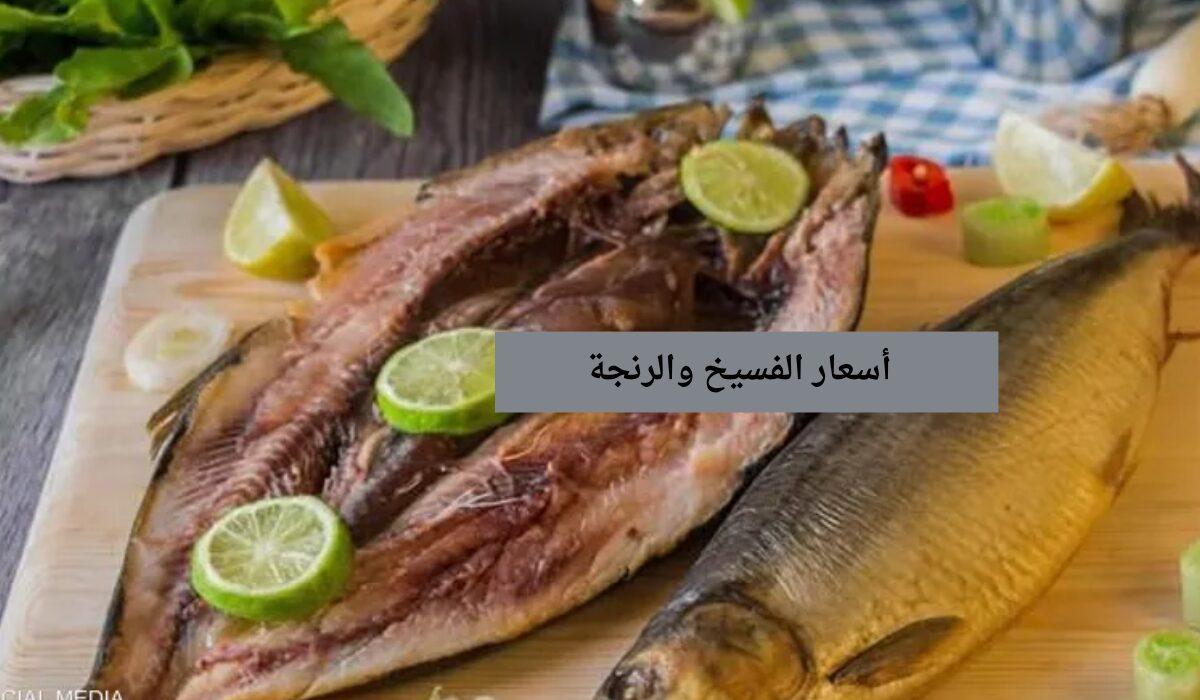 “تخفيضات وزارة التموين” سعر كيلو الفسيخ والرنجة 2025 قبل يوم قطر "تخفيضات وزارة التموين" سعر كيلو الفسيخ والرنجة 2024 قبل يوم قطر