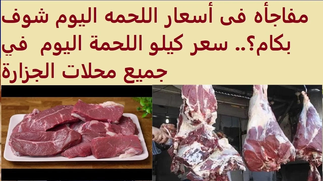 توزيع لحوم العيد على نقاط البيع والجزارين.. سعر اللحوم اليوم في مصر: “كم تكلفة اللحوم اليوم؟ توزيع لحوم العيد على نقاط البيع والجزارين.. سعر اللحوم اليوم في مصر: "كم تكلفة اللحوم اليوم؟