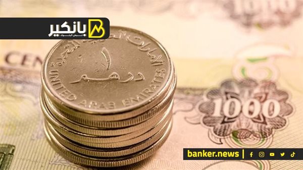 سعر الدرهم الإماراتي مقابل الجنيه المصري في تعاملات 2025 الدرهم الاماراتي
