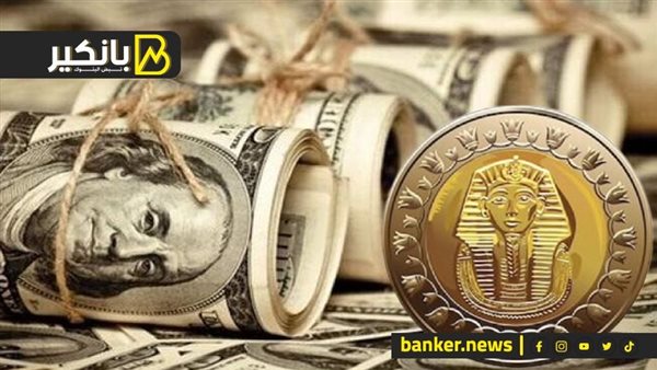 سعر الدولار اليوم الأحد 18/02/2024 في البنك المركزي المصري سعر الدولار في البنك