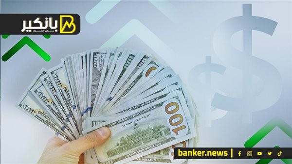 سعر الدولار مقابل الجنيه المصري في تعاملات 2025 الدولار