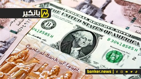سعر الدولار مقابل الجنيه المصري في تعاملات 2025 سعر الدولار اليوم