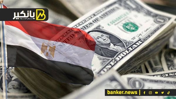 سعر الدولار مقابل الجنيه المصري في تعاملات اليوم الخميس 30/11/2023 الدولار