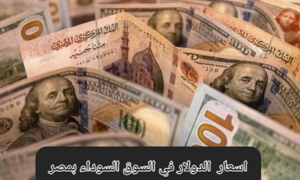 كم هناك من اللون الأخضر؟ .. سعر الدولار مقابل الجنيه المصري اليوم الأربعاء 27/03/2024 في السوق السوداء كم هناك من اللون الأخضر؟ .. سعر الدولار مقابل الجنيه المصري اليوم الأربعاء 27/03/2024 في السوق السوداء