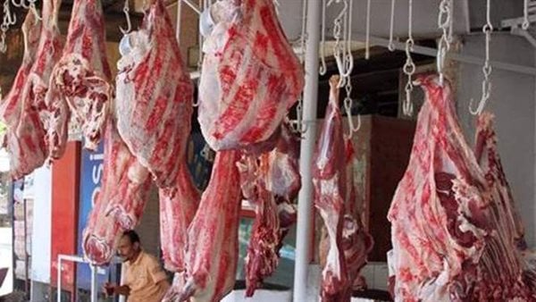 كميات جديدة.. مفاجأة في أسعار اللحوم بالأسواق كميات جديدة.. مفاجأة في أسعار اللحوم بالأسواق