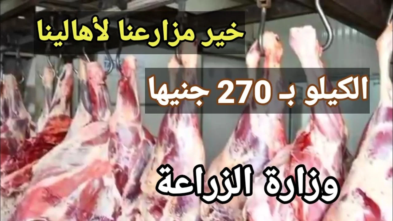 منتجات وزارة الزراعة بأسعار مخفضة لأول مرة. لحومي وكرتونة بيض ورنجة ومنتجات غذائية بأسعار مناسبة: «دع الفقراء يأكلون». منتجات وزارة الزراعة بأسعار مخفضة لأول مرة. لحومي وكرتونة بيض ورنجة ومنتجات غذائية بأسعار مناسبة: «دع الفقراء يأكلون».